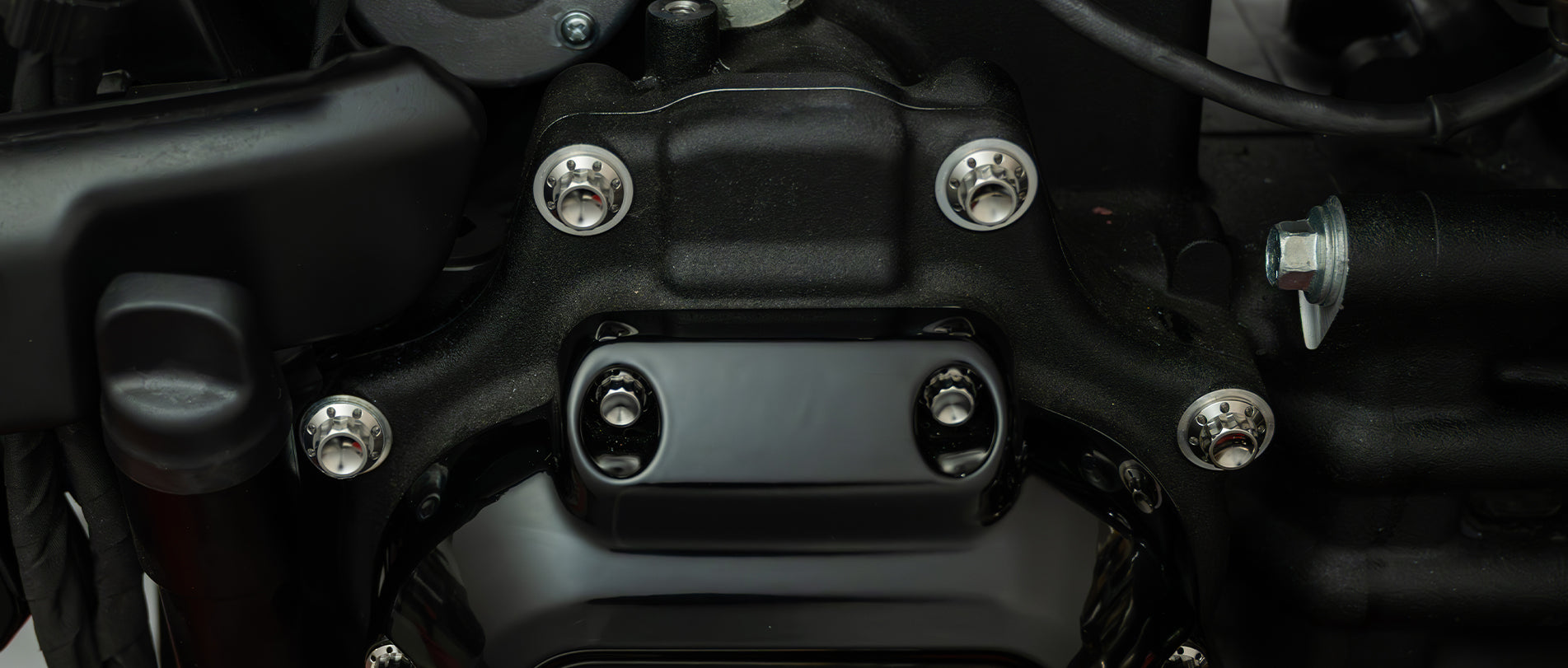 Titanium Hardware