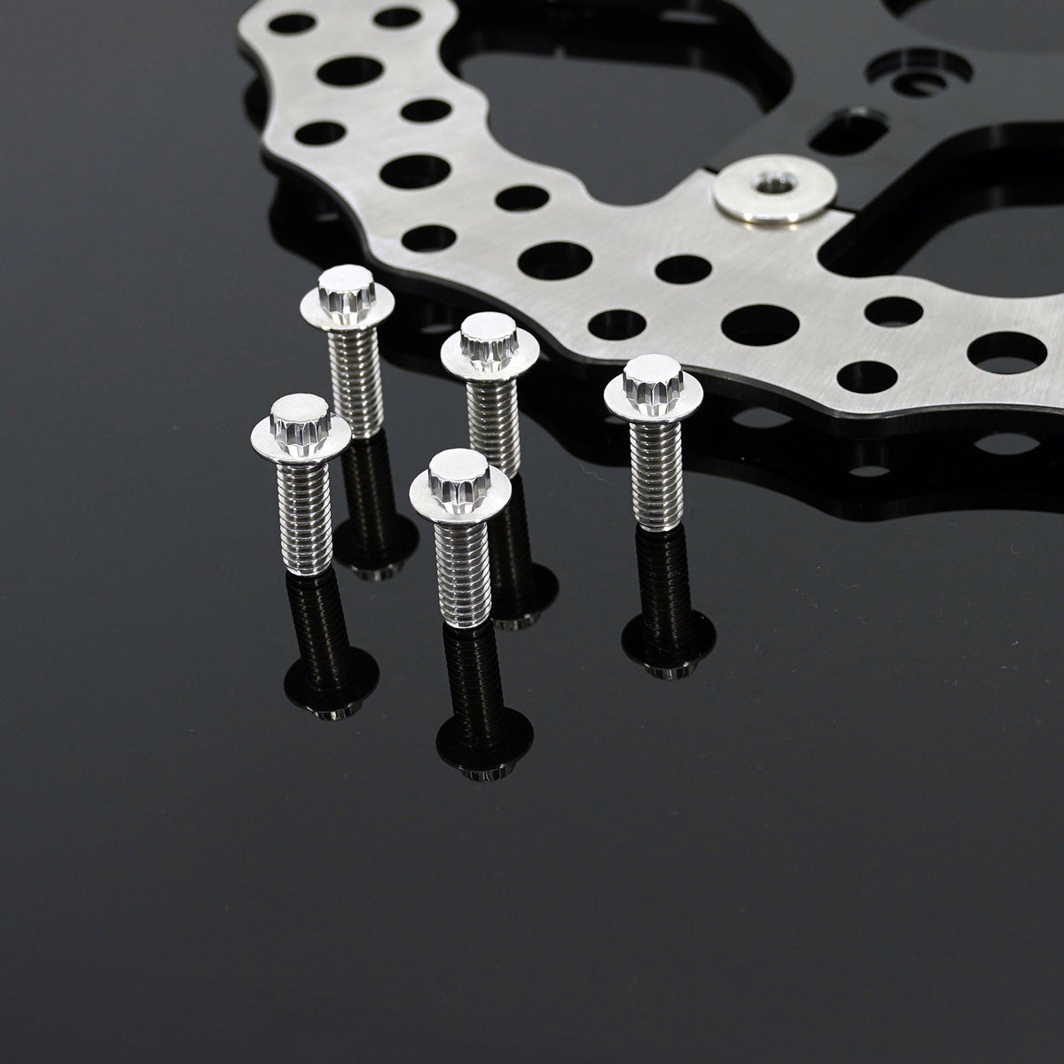 Polished Stainless 12-Point Rotor Bolt Kits – ArlenNess