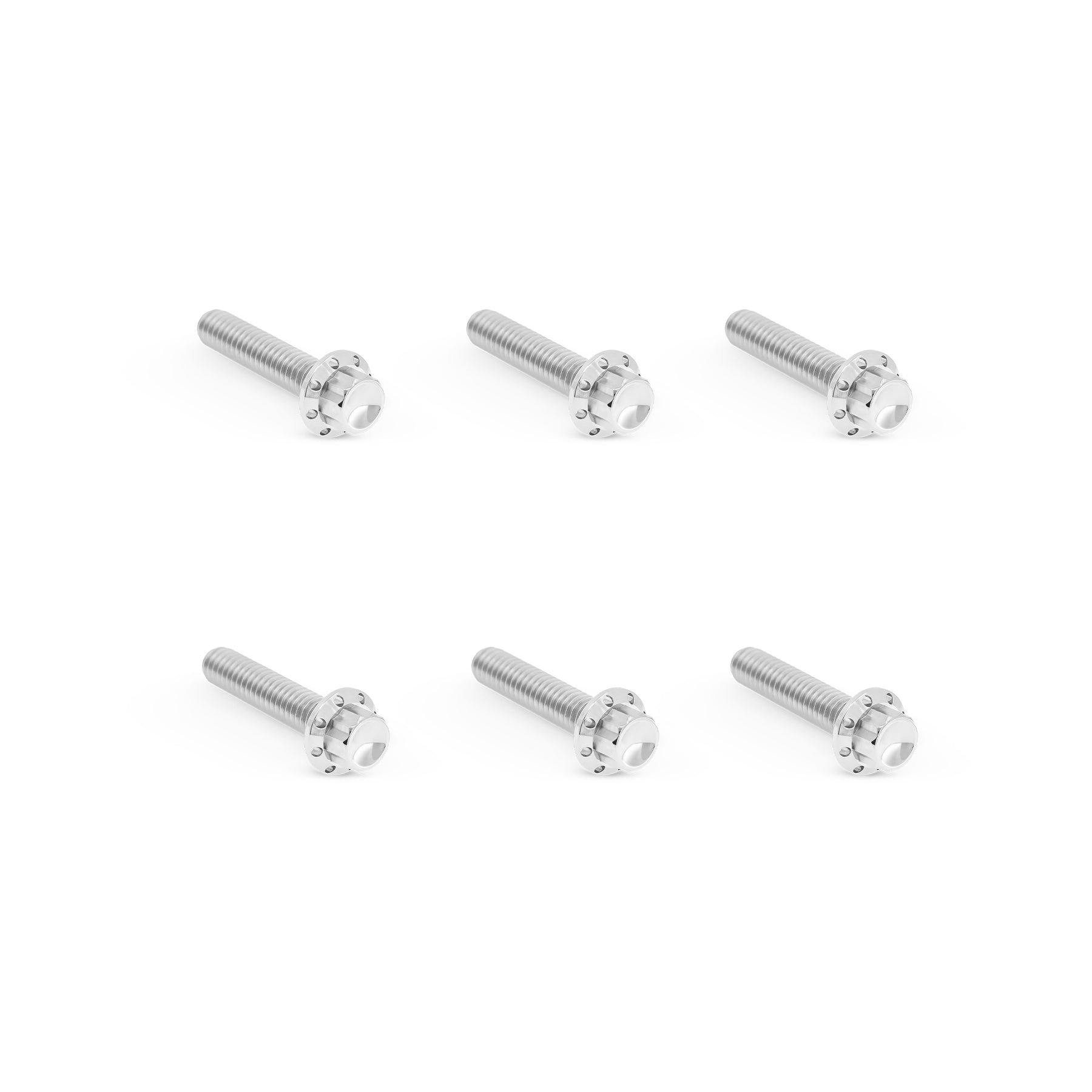 Titanium 12-Point Trap Door Bolt Kit, Polished