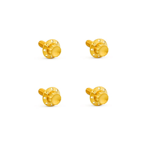 Titanium 12-Point Windshield Bolts for Road Glide, Gold