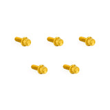 Derby Cover Titanium 12-Point Bolt Kits, Gold