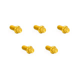 Derby Cover Titanium 12-Point Bolt Kits, Gold