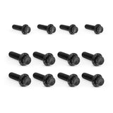 Transmission Side Cover & Trap Door Titanium 12-Point Bolt Kits, Black