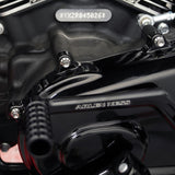 Primary Cover Titanium 12-Point Bolt Kits, Polished