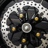 Titanium Floating Rotor Bolts, FLT Touring / Gold