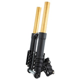 Gold & Black 49mm Fork Tubes, FLT