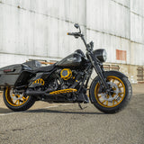 Ness-MX Passenger Floorboards, Gold