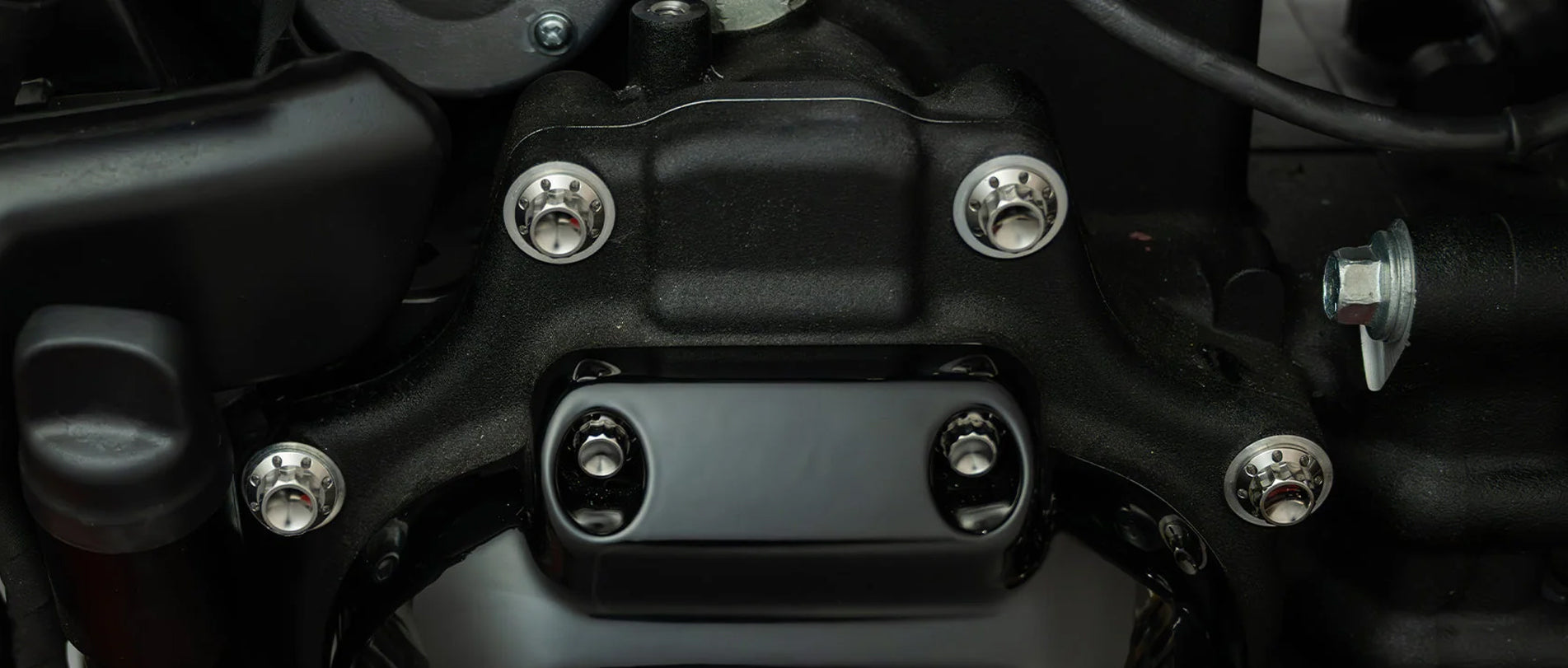 Rear Shock Bolts