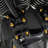Lifter Block Titanium 12-Point Bolt Kits, Gold