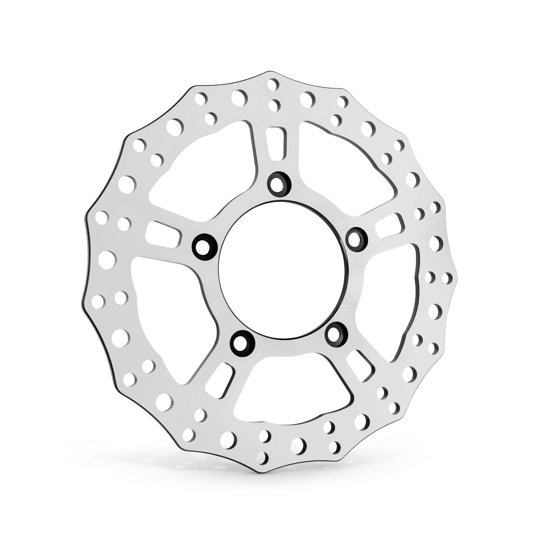 Jagged® V-Rod Rear Brake Rotor