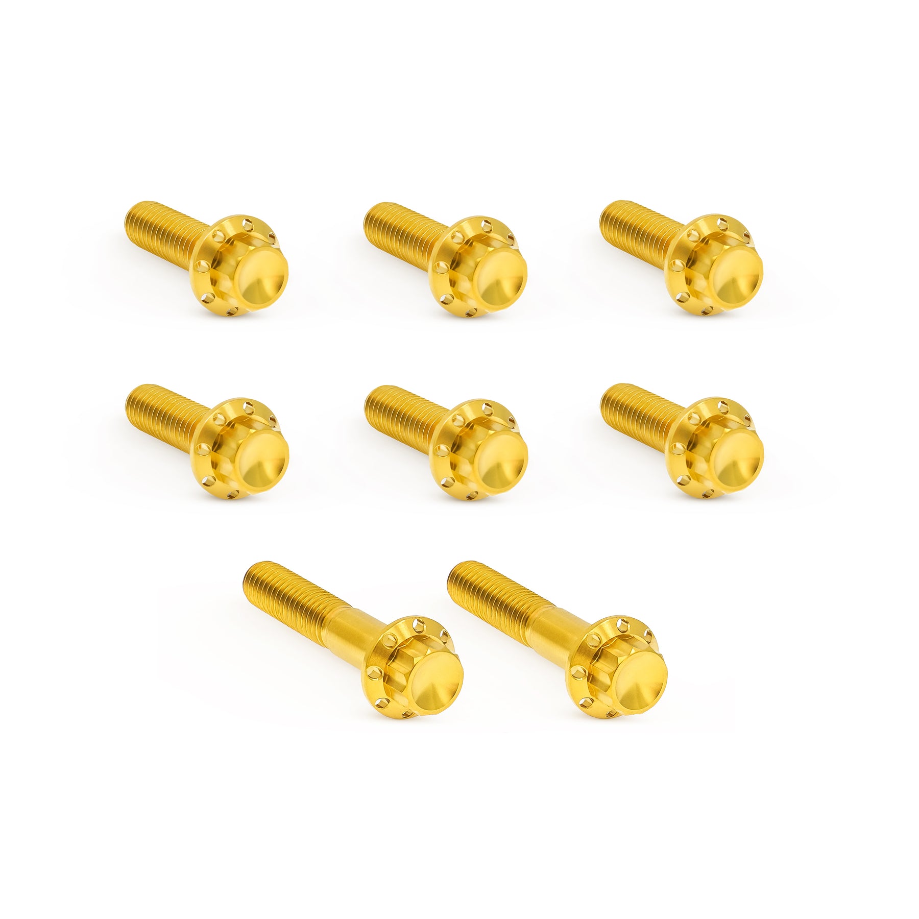 Titanium 12-Point Trap Door Bolt Kits, Gold