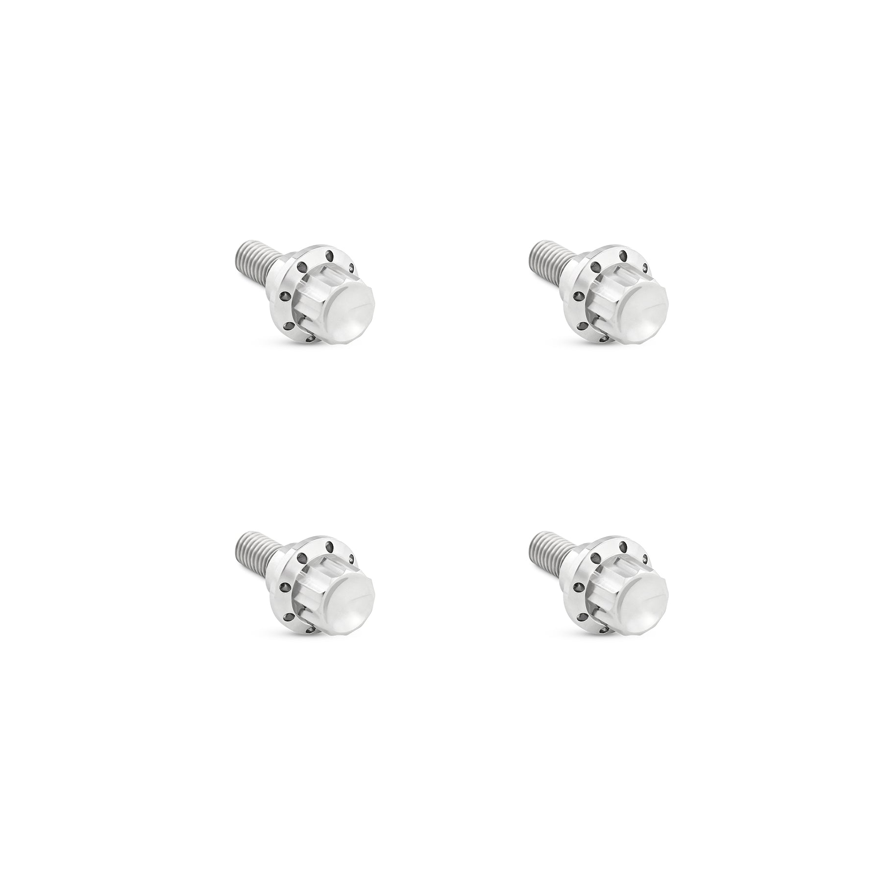 Titanium 12-Point Windshield Bolts for Road Glide, Polished