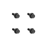 Titanium 12-Point Windshield Bolts for Road Glide, Black
