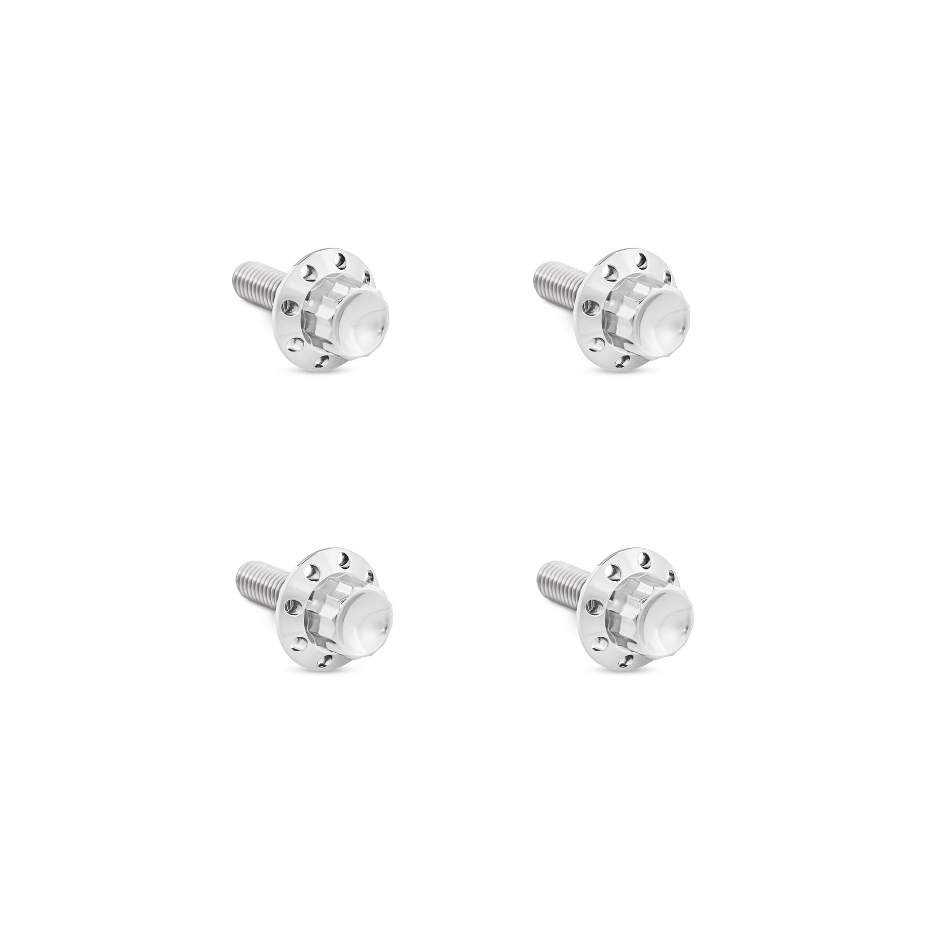 Titanium 12-Point Windshield Bolts for Road Glide, Polished