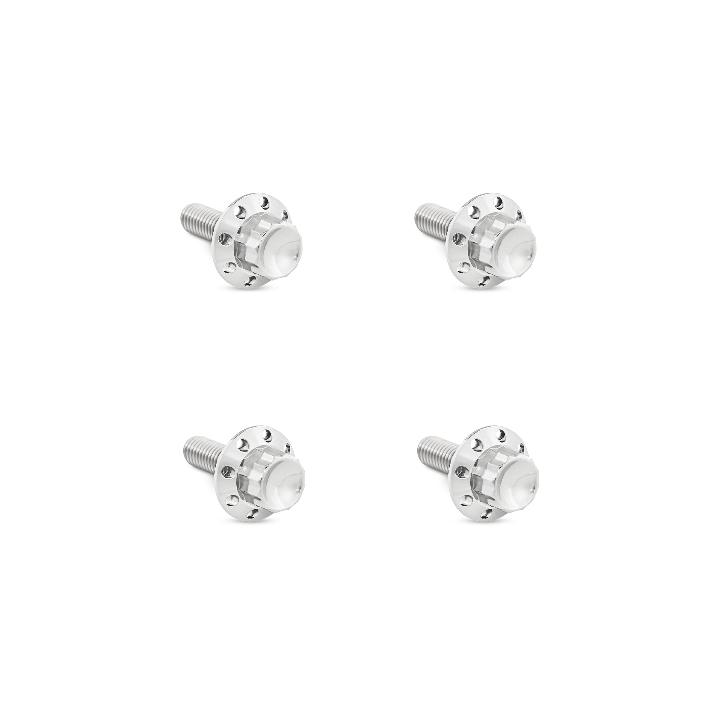 Titanium 12-Point Windshield Bolts for Road Glide, Polished