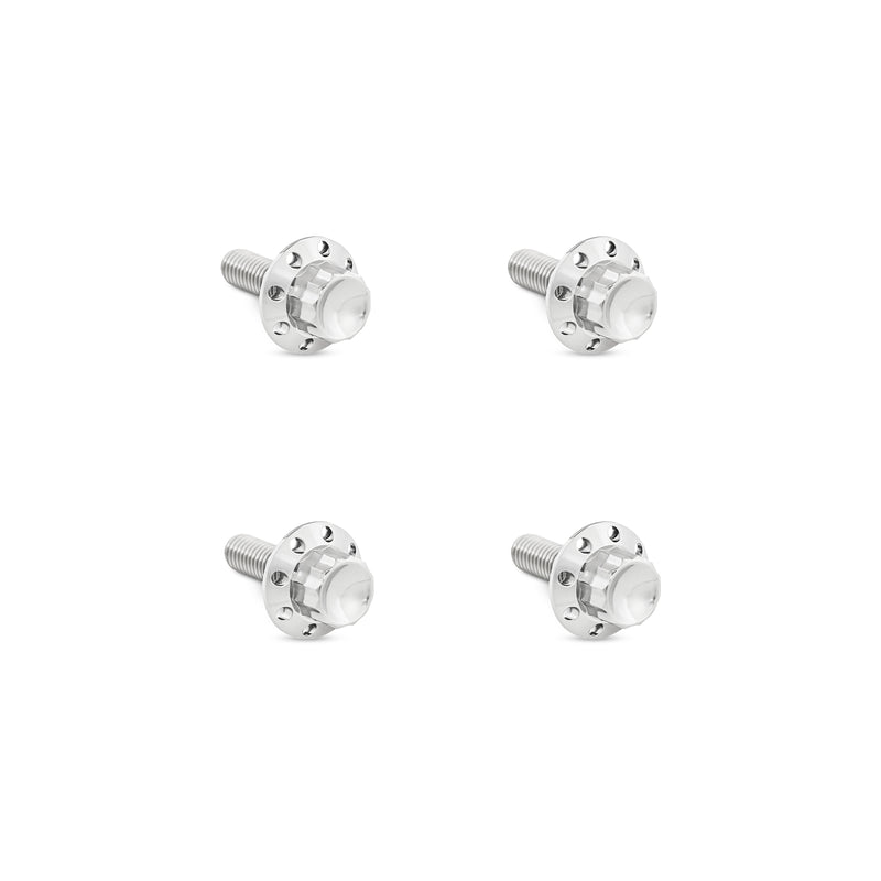 Titanium 12-Point Windshield Bolts for Road Glide, Polished