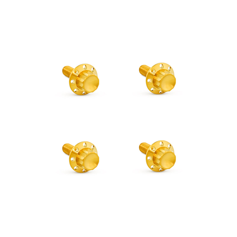 Titanium 12-Point Windshield Bolts for Road Glide, Gold
