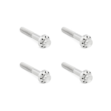 Titanium 12-Point Front Fender Bolts, Polished