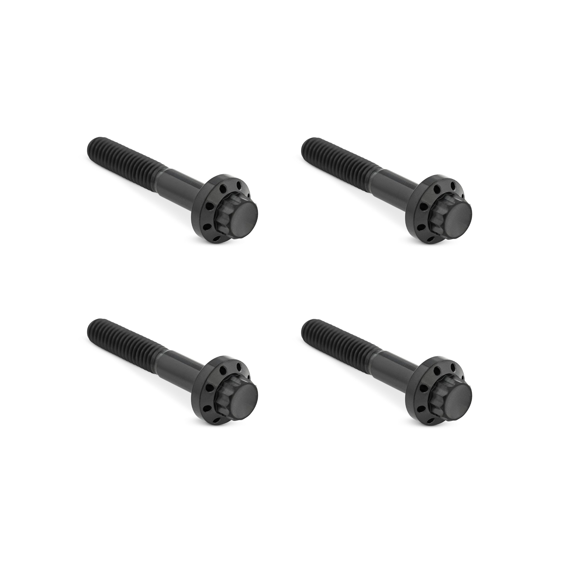 Titanium 12-Point Front Fender Bolts, Black – ArlenNess
