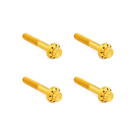 Titanium 12-Point Front Fender Bolts, Gold