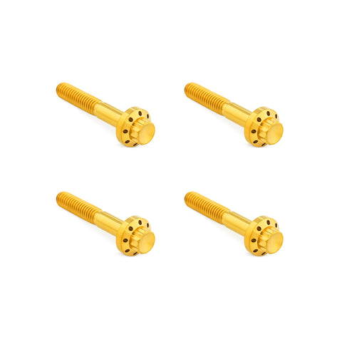 Titanium 12-Point Front Fender Bolts, Gold