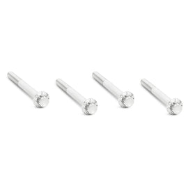 Titanium 12-Point Engine Case Bolt Kits, Polished