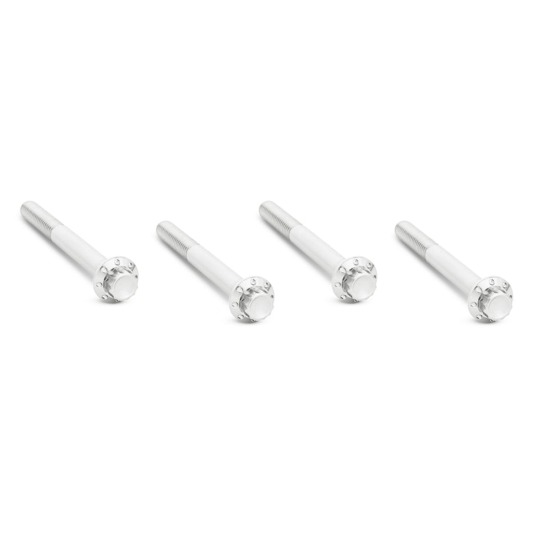 Titanium 12-Point Engine Case Bolt Kits, Polished
