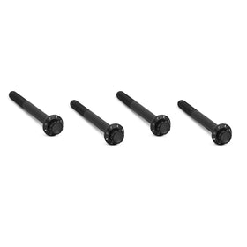 Titanium 12-Point Engine Case Bolt Kits, Black