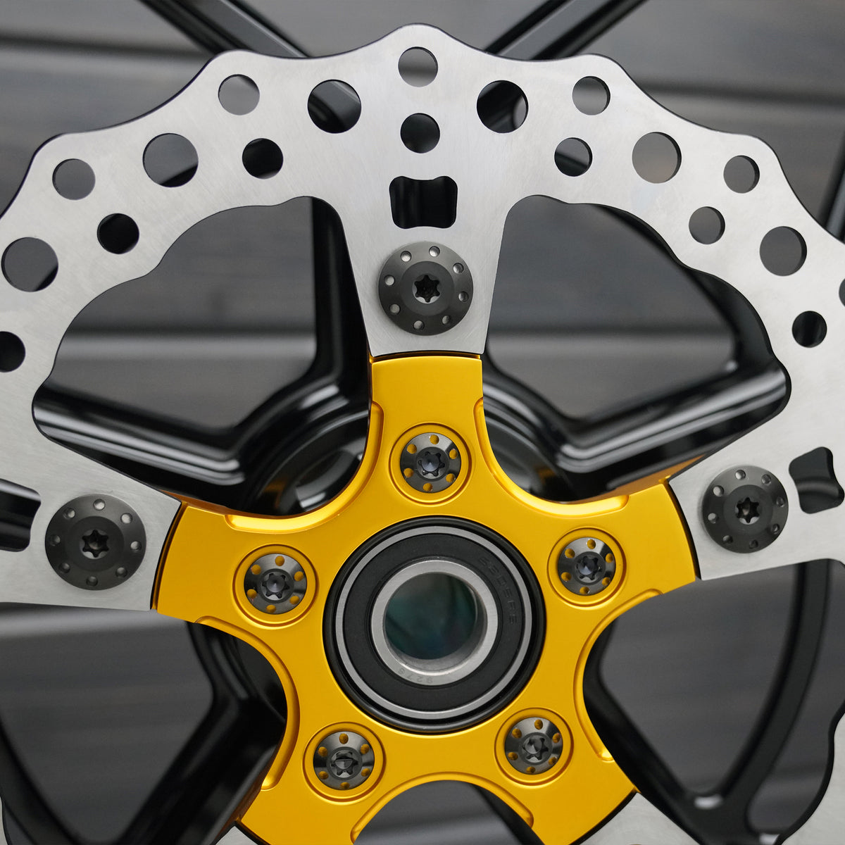 Titanium Floating Rotor Bolts, FLT Touring / Black – ArlenNess