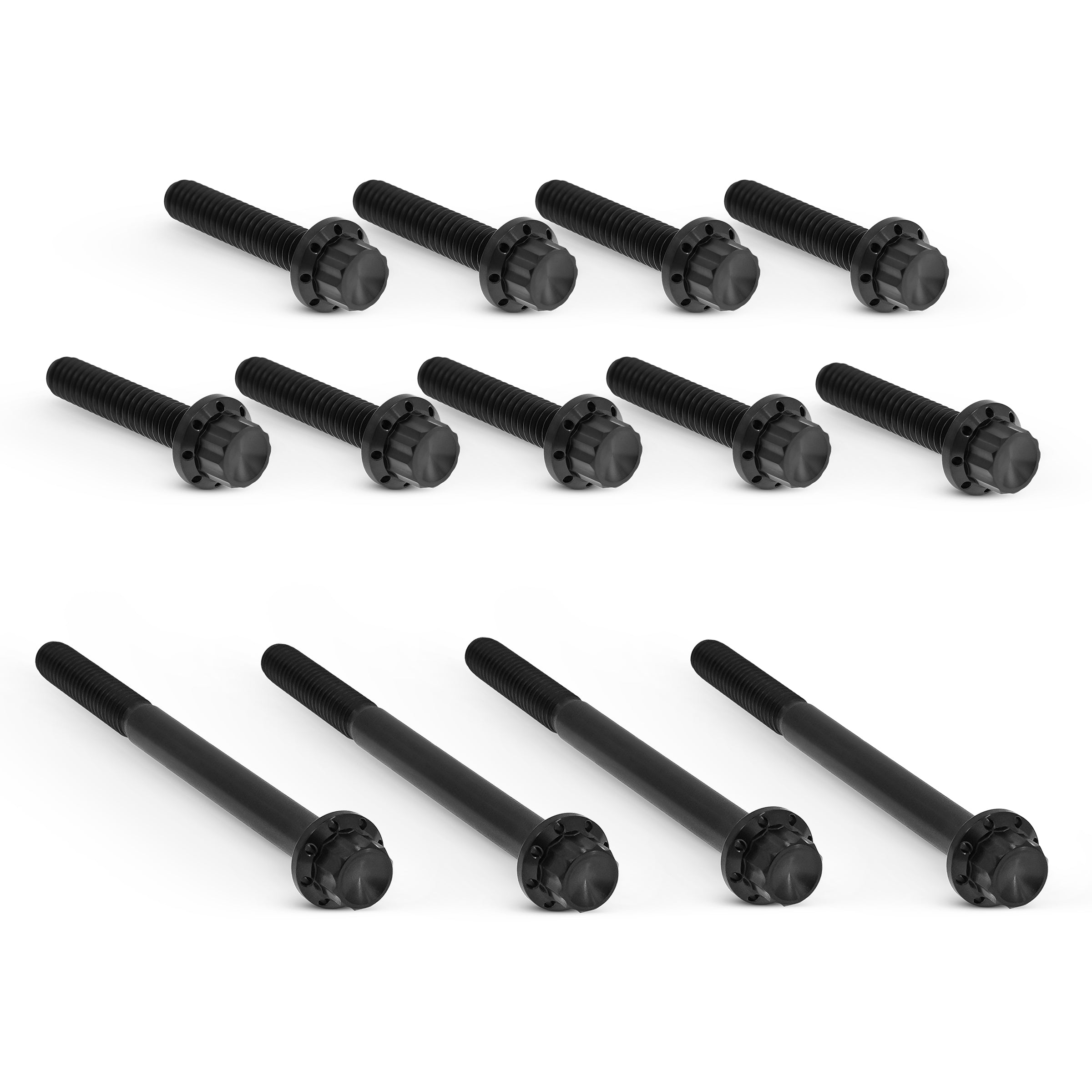 Primary Cover Titanium 12-Point Bolt Kits, Black – ArlenNess