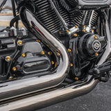 Cam Cover Titanium 12-Point Bolt Kits, Gold