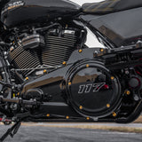 Derby Cover Titanium 12-Point Bolt Kits, Gold