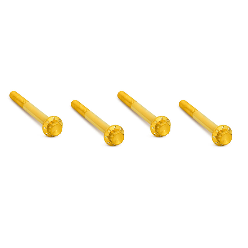 Titanium 12-Point Engine Case Bolt Kits, Gold