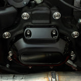 Transmission Side Cover & Trap Door Titanium 12-Point Bolt Kits, Polished