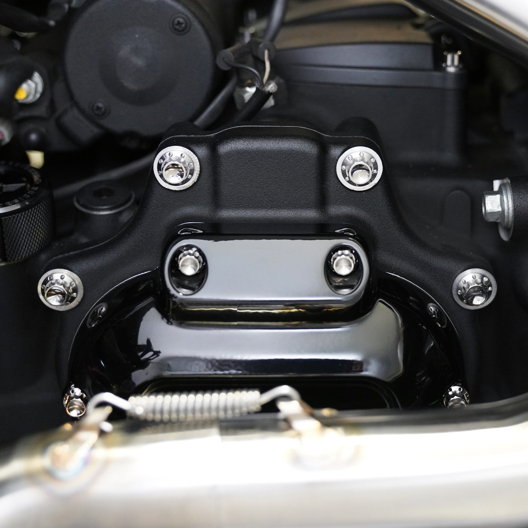Transmission Side Cover & Trap Door Titanium 12-Point Bolt Kits, Polished